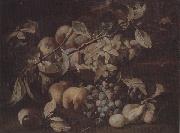 unknow artist Still life of red and white grapes,peaches and plums,on a stone ledge oil painting artist